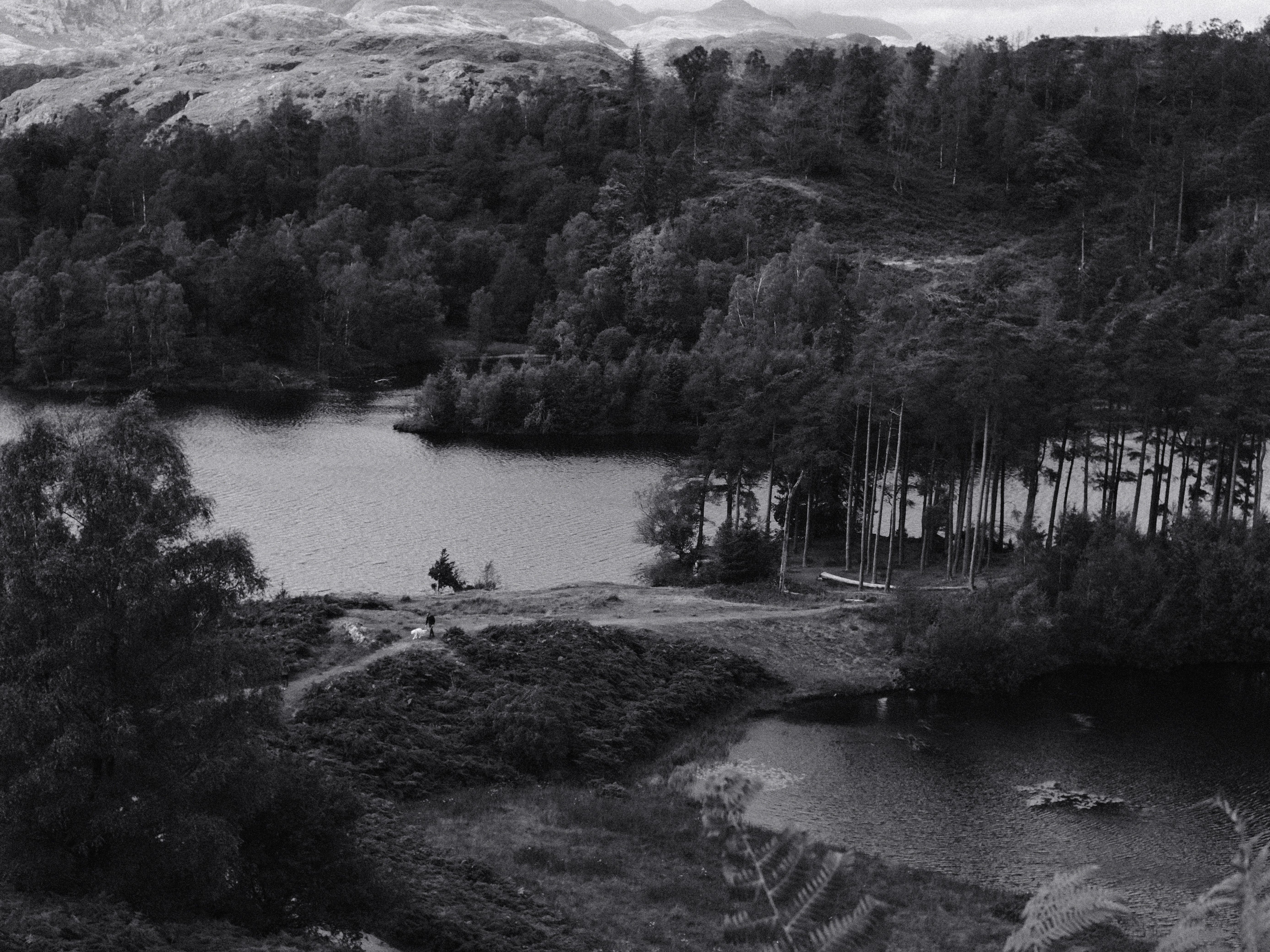 Tarn Hows