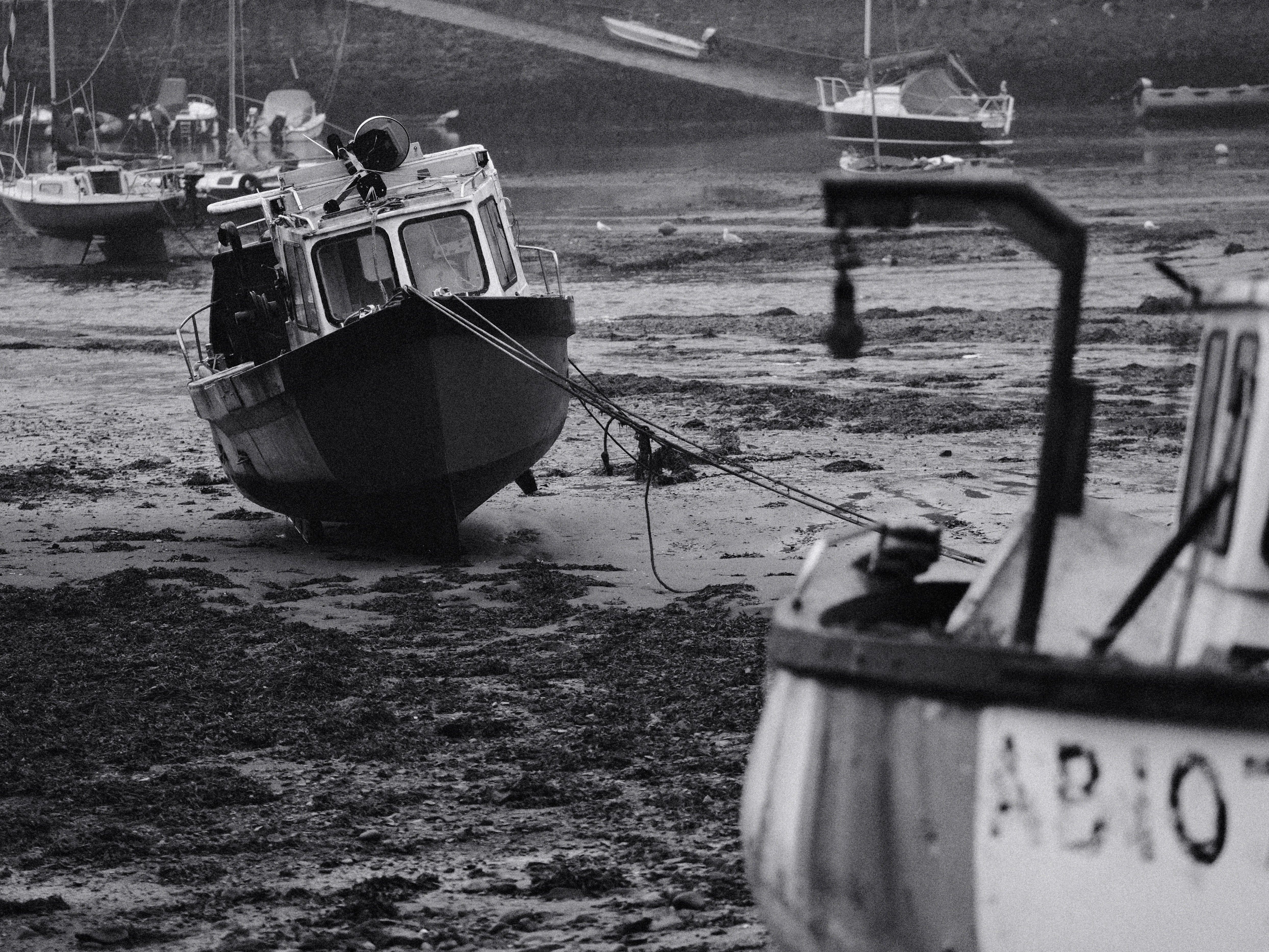 Low Tide